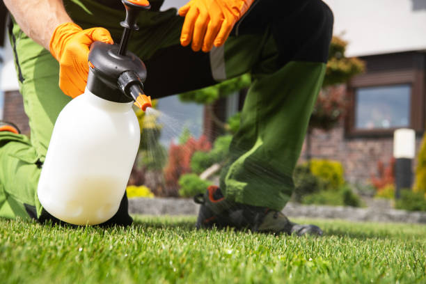Best Local Pest Control Services  in Hunter, OH