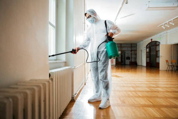 Best Pest Control Near Me  in Hunter, OH